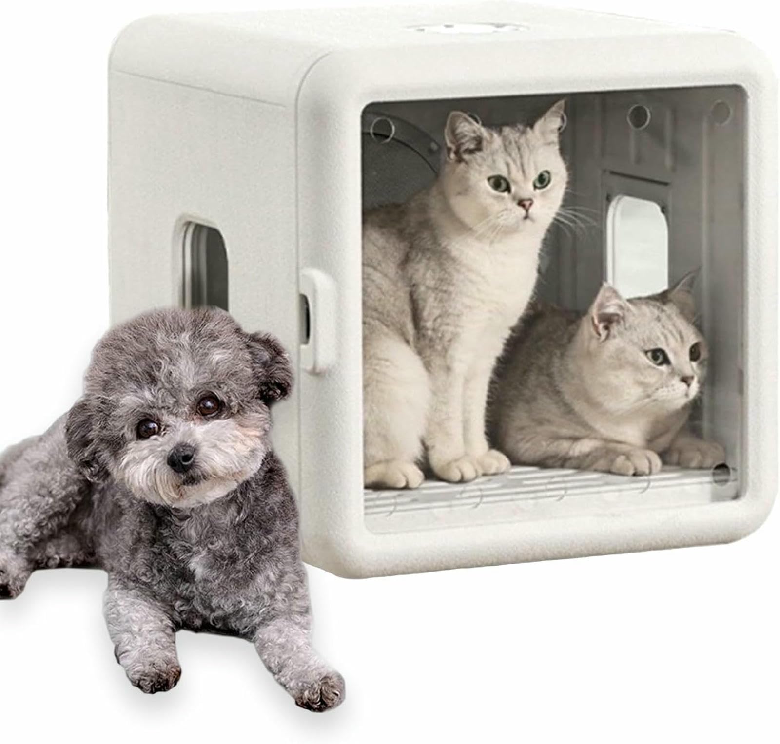 Boîte de séchoir de chat sûre avec minuterie et cabine de séchage pour petits animaux