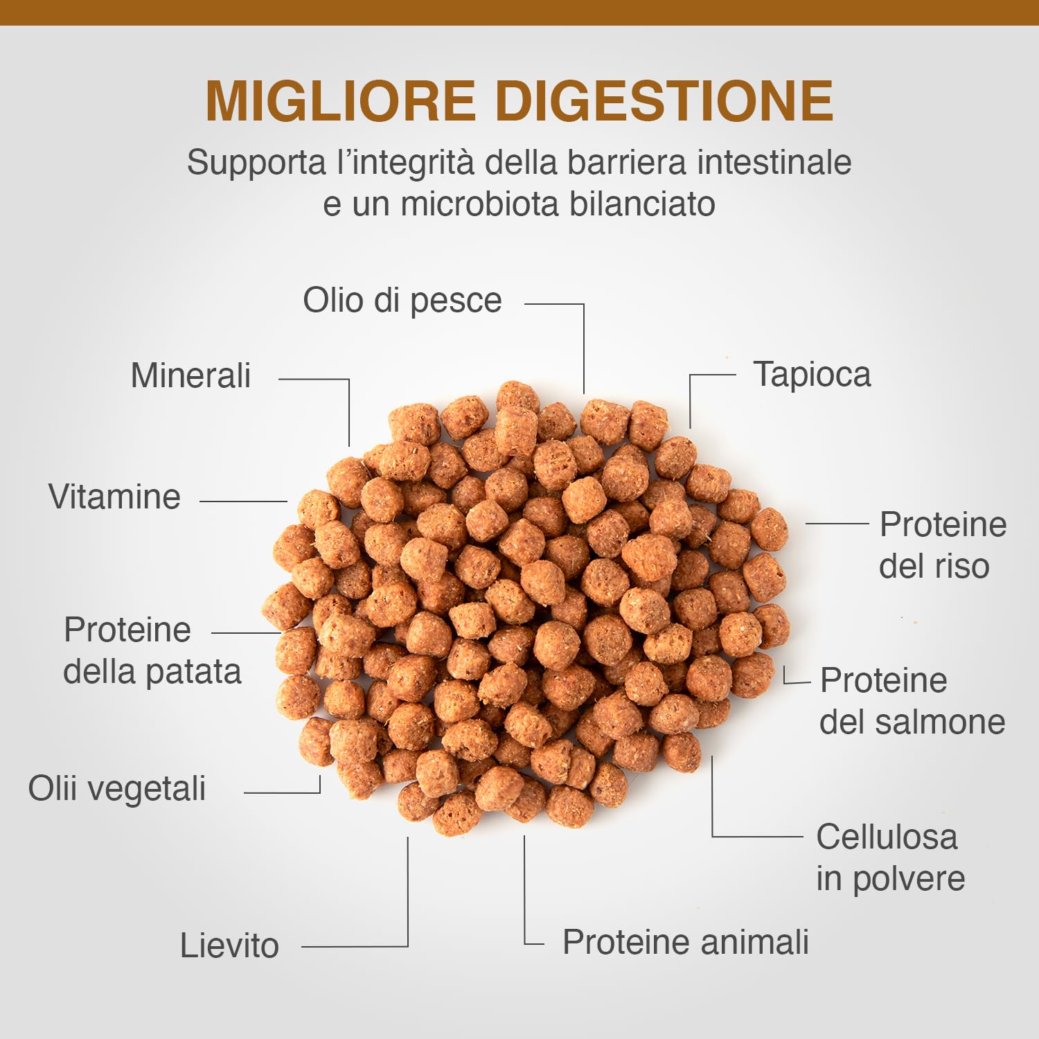 Specific Canine Adult CID-LF Digestive Support Low Fat 7KG