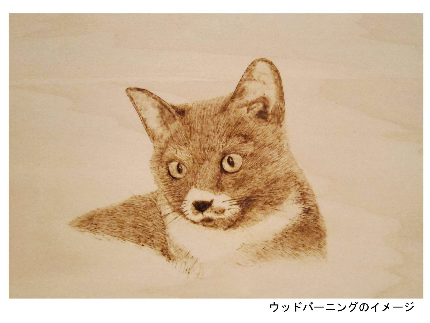 Amazon | ウッドバーニング板 A4 10枚 | パネル・ボード 通販