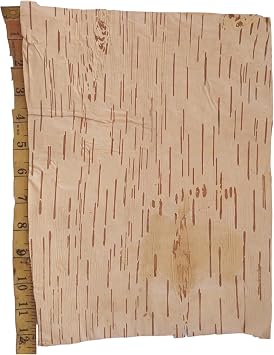 Bhojpatra Betula Birch Betula Bark 2 pcs Big Size= 12 x 9 inch Bhojpatra Sheets Writing Sacred Mantras, Natural