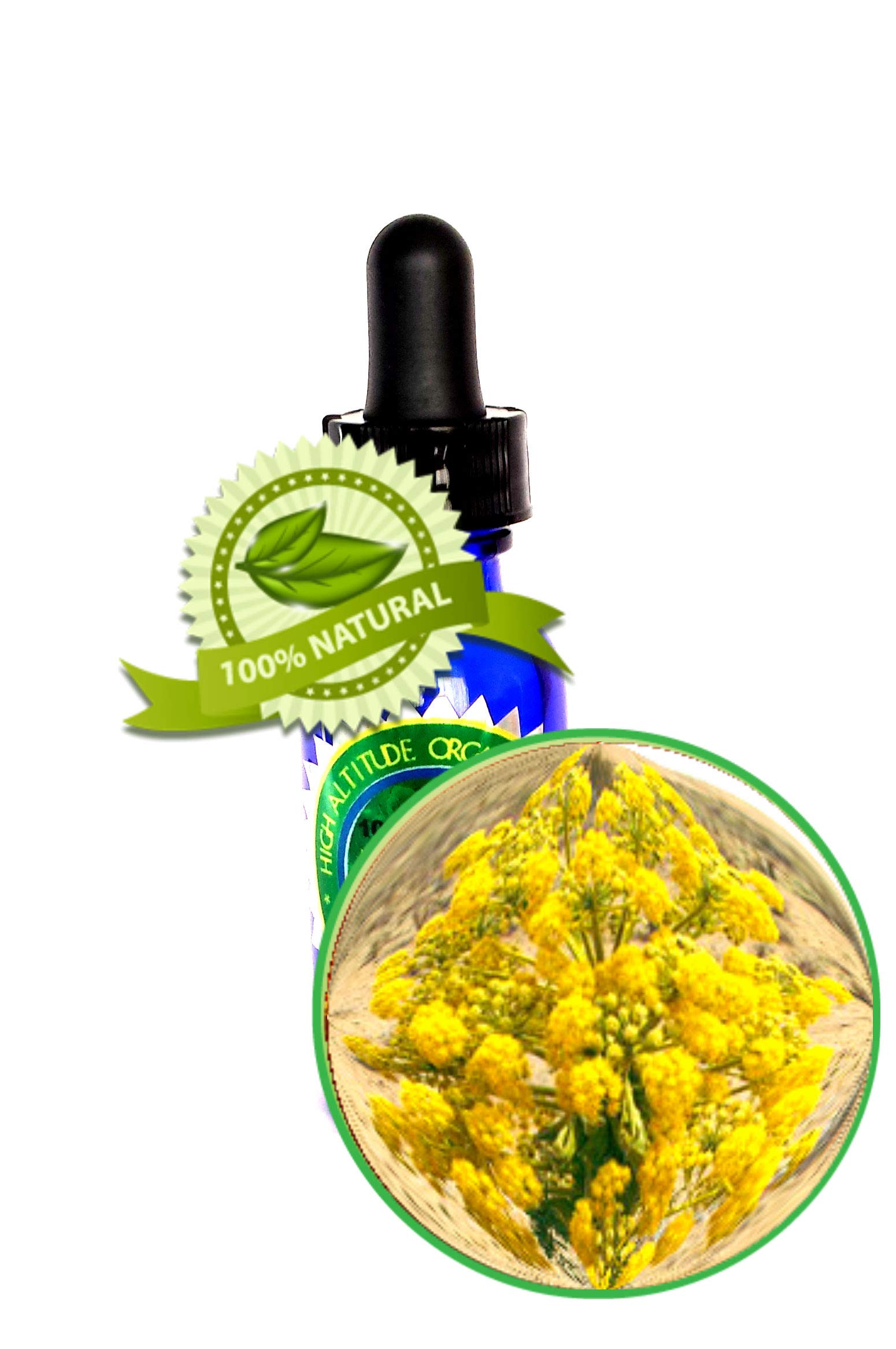 Asafoetida Essential Oil - 30ml (1oz-Dram) - 100% Pure Ferula Assa-Foetida