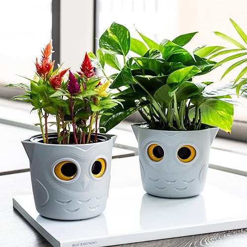 Miniatura 4 de Restmo Paquete de 3 macetas de 5 pulgadas de riego automático para plantas de interior, macetas de plástico con indicador de nivel de agua de ojo de