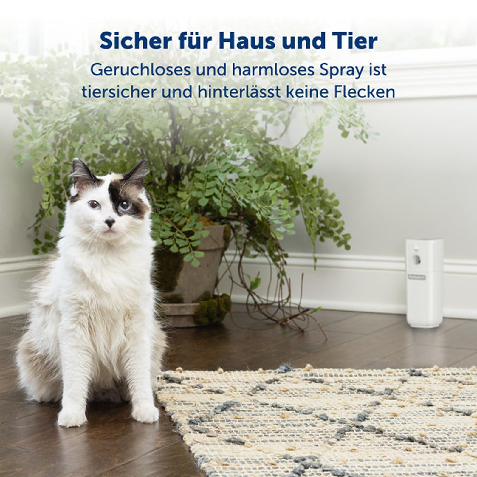 SSSCAT automatisches Fernhaltespray für Haustiere, Katzen und Hunde fernhalten, sicher, geruchlos