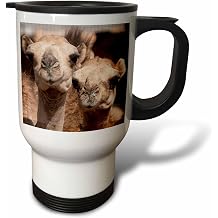 3dRose Camels in Al Ain, Dubai, United Arab 14oz Stainless Steel Travel Mug