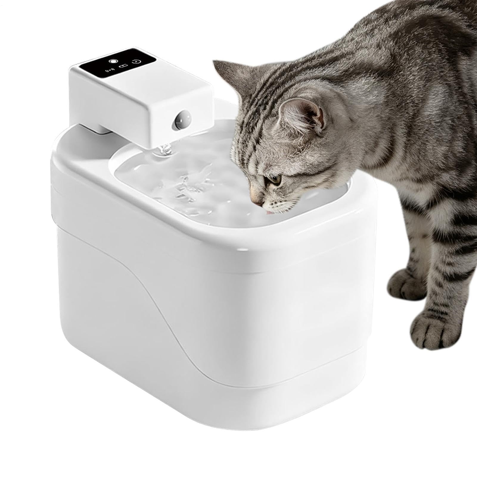 Distributore automatico con acqua per gatti, dispenser di bevande senza
