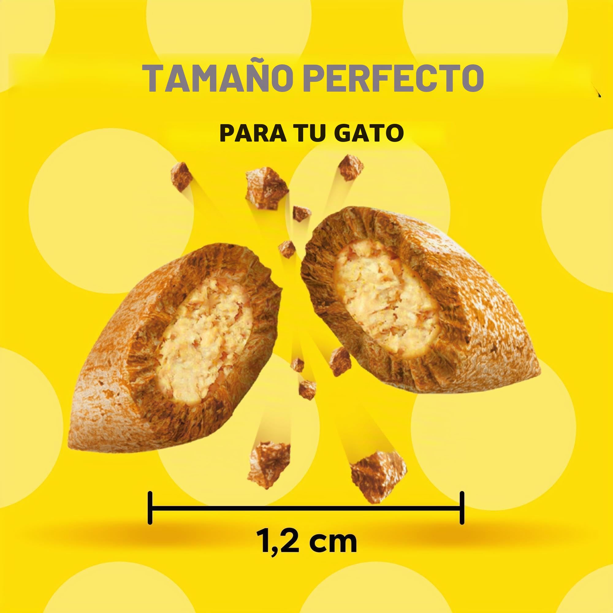 Catisfactions Snack para Gato, Formato de Reserva 700 g con Sabor a Pollo, 2 Tubos Maxi de 350 g Cada uno
