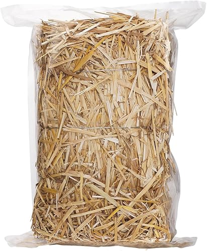 Paja de trigo natural  Paja seca de 1 libra, limpia y suave, paca de paja decorativa para gatos callejeros, perros, patio, granja, mascotas, jardín,
