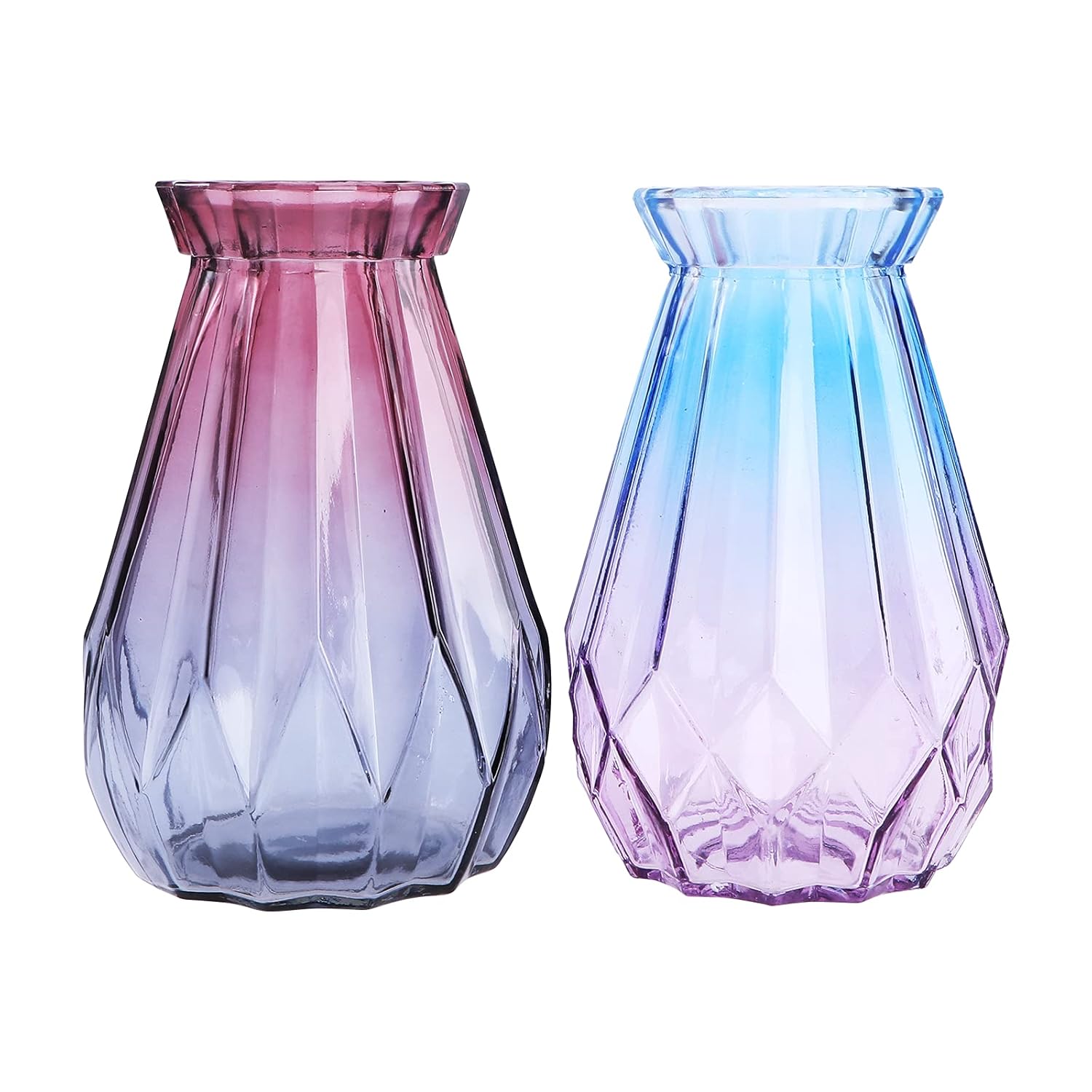 Buy 2pcs Home Glass Vase Artistic Home Vase Flower Container Decor