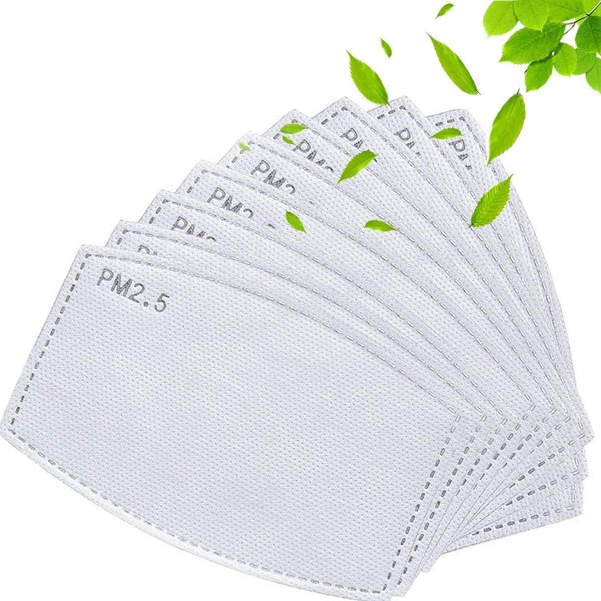 30 PCS Activated Carbon Filter Replaceable Anti Haze Filter