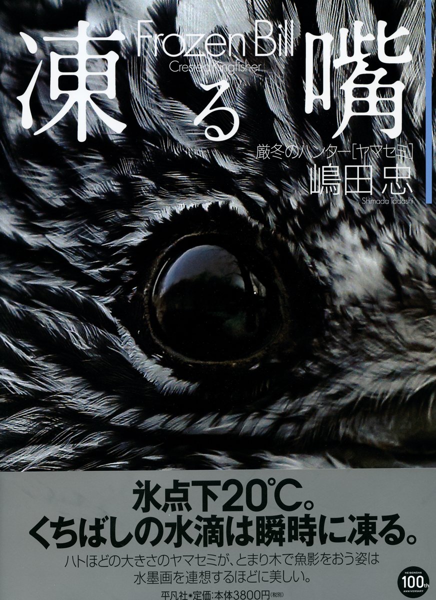 Amazon.co.jp: 凍る嘴: 厳冬のハンター[ヤマセミ] : 嶋田忠: 本