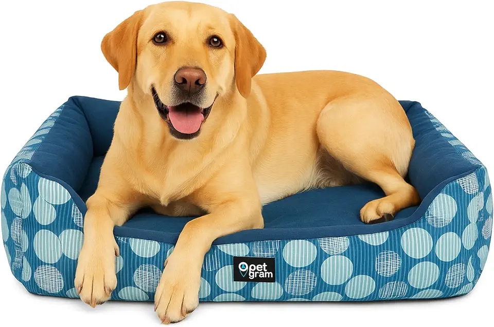 Cama Pet Impermeável e Lavável para Cachorros Pequeno (55x45) com Tratamento Antimicrobiano, Oslo