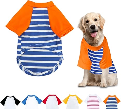 small dog summer clothes