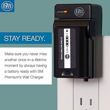 Amazon.com : BM Premium 2 VW-VBD58 Batteries and Charger for