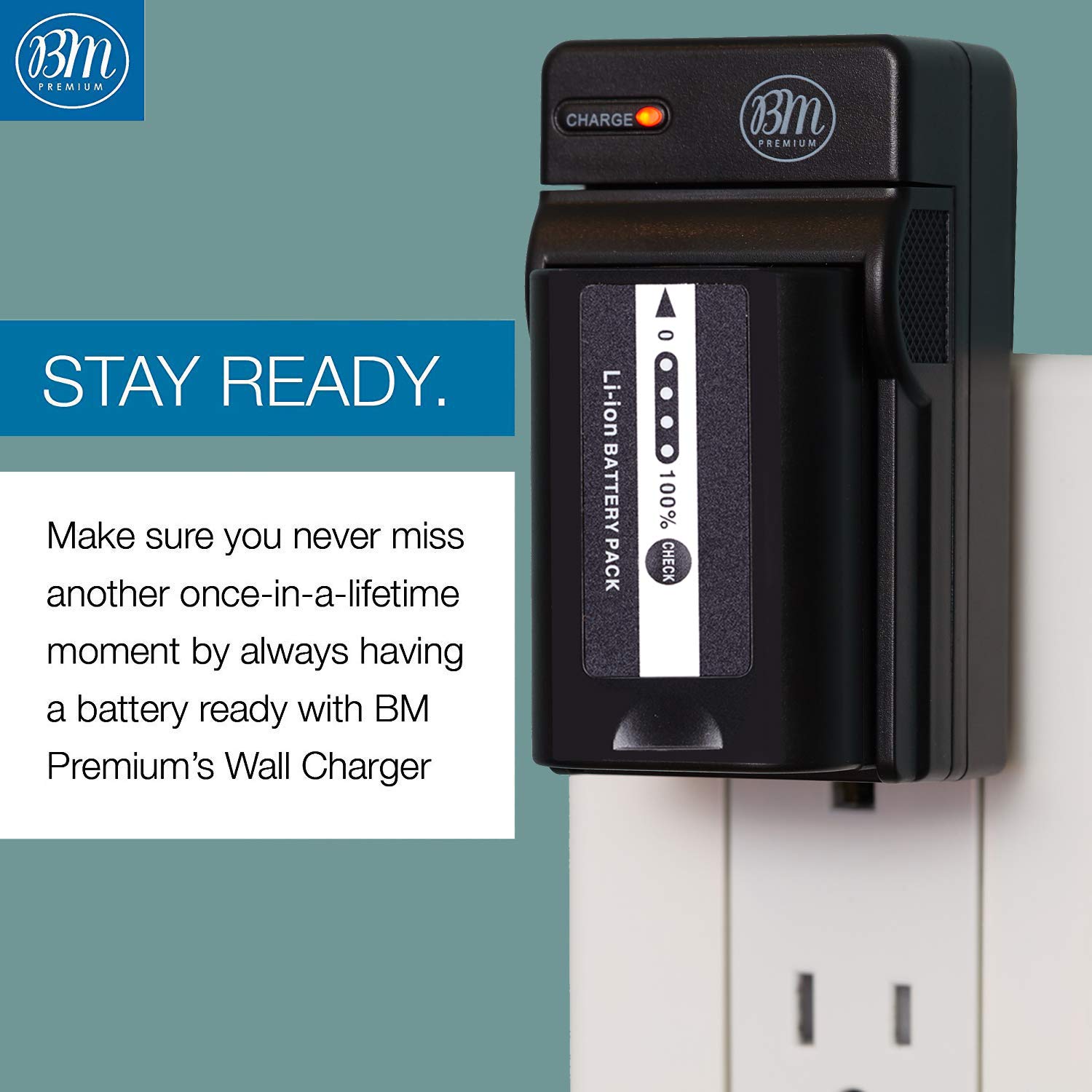 Amazon.com: BM Premium VW-VBD58 Battery and Charger for