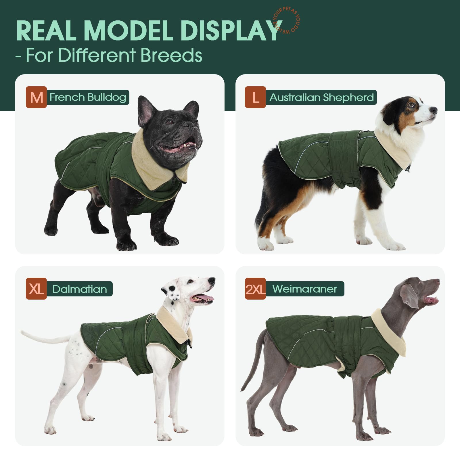 Kuoser Hundemantel für Mittelgroße Große Hunde, Hundejacke Wasserdicht Warm, Wintermantel mit Hohem Kragen & Klettverschluss, Elastischer Bauch, XL Grün