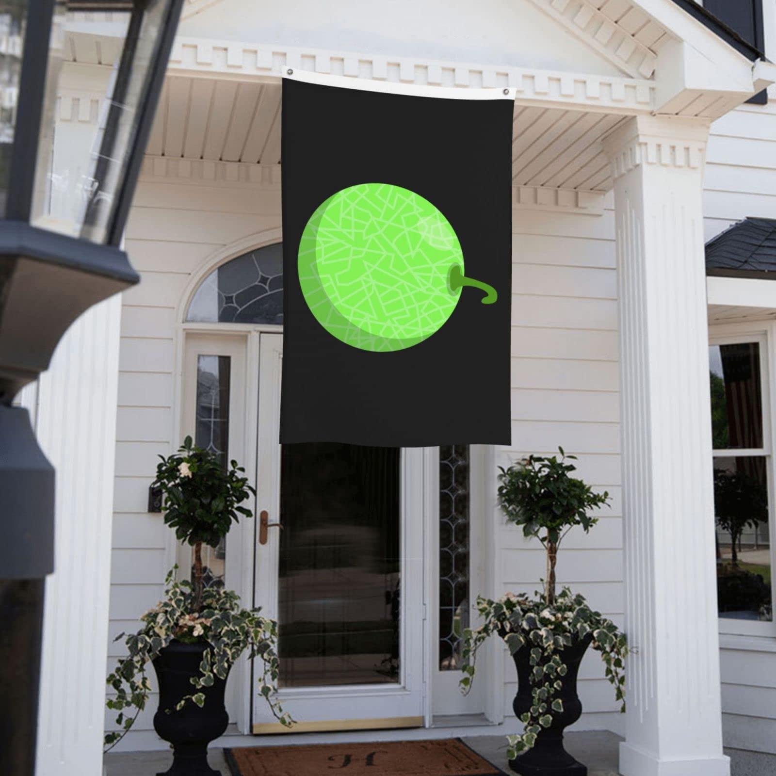 PHISH Flagge 3x5 Fuß Aus Polyester – Lebendiges Design Für Indoor & Outdoor