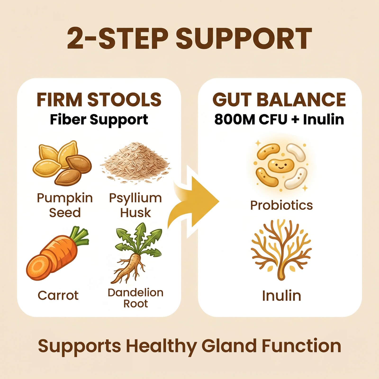 Anal Gland Support Soft Chews for Dogs, 90 Count – Pumpkin Seed Fiber, Psyllium & Dandelion Root with Probiotics (800M CFU) – Supports Firm Stools & Digestive Balance – Chicken & Liver - image 6