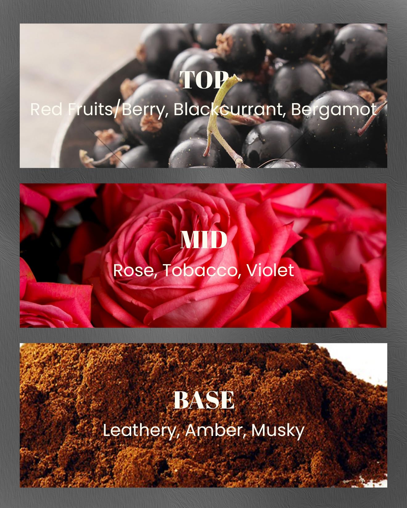 M&SENSE Velas Aromáticas Dark Leather 283g, Aroma Cuero Intenso, Regalo Hombre Original de Lujo, Cera de Soja 50h, Decoración Industrial y Retro