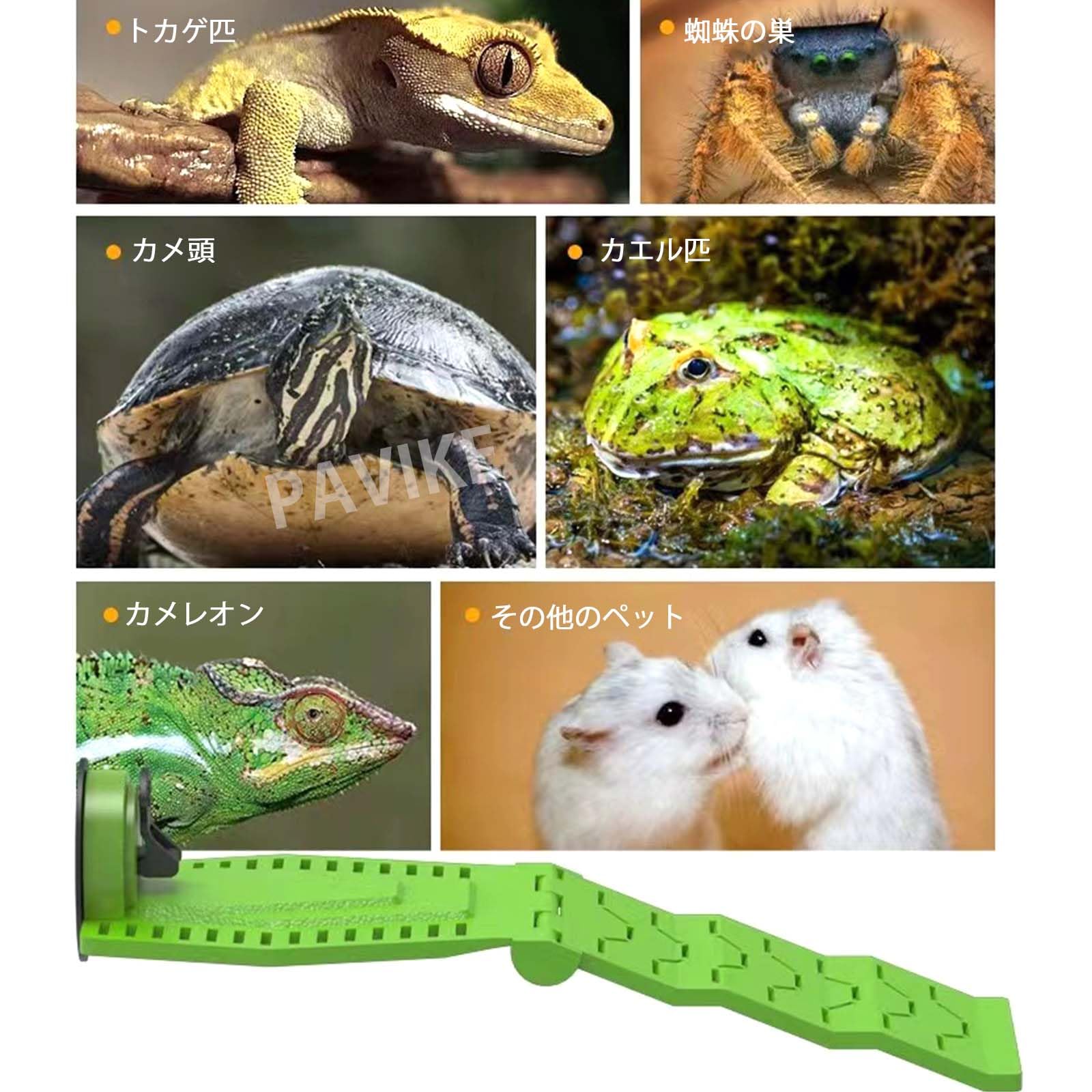 Amazon | PAVIKE亀 陸地【约26*12cm】亀 浮島 亀 バスキング