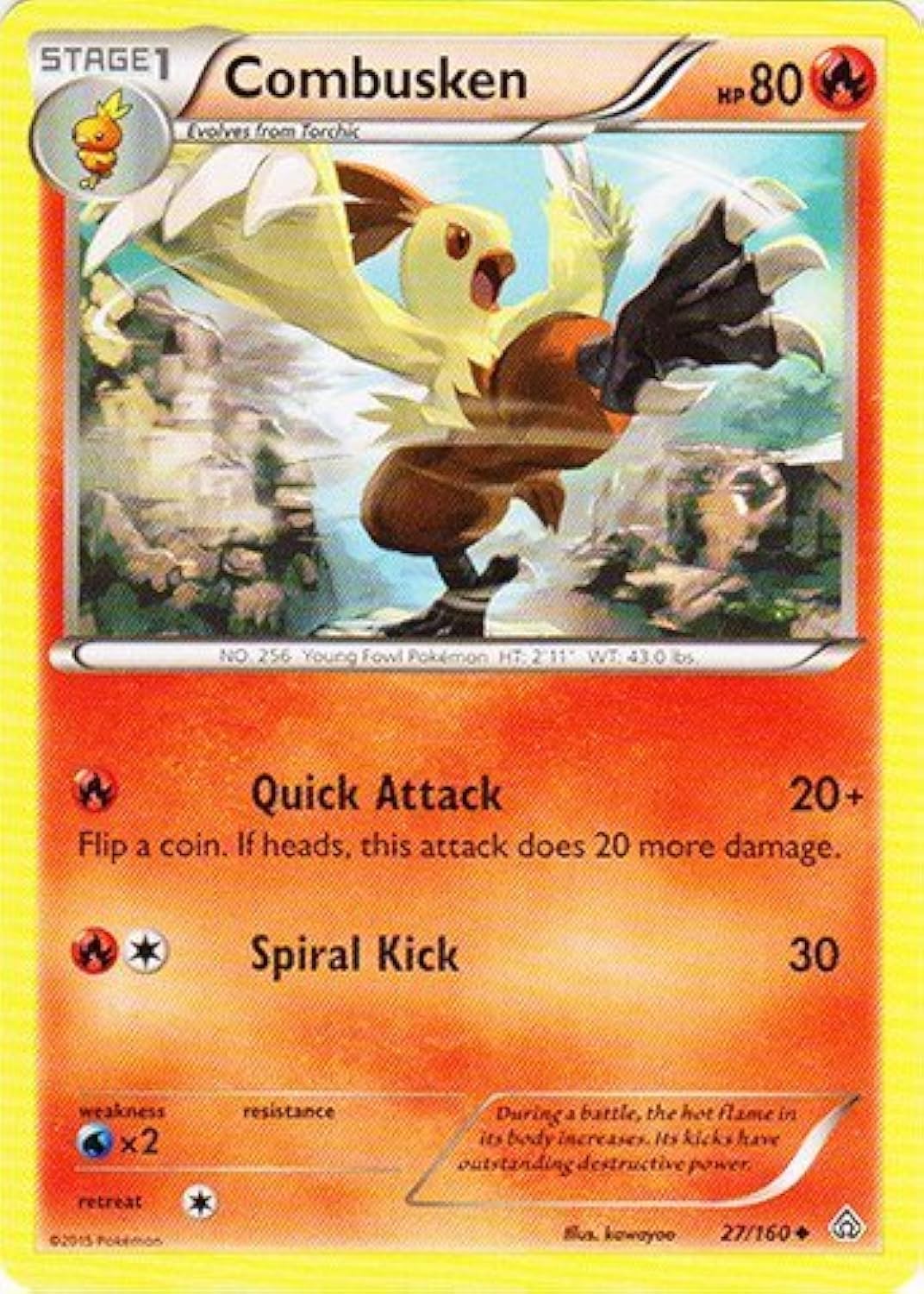 Pokemon - Combusken (27/160) - XY Primal Clash : Amazon.ca: Toys