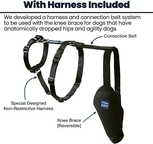 Miniatura 3 de LufeLux Rodillera para perro con arnés y cinturón de conexión, ligera y elástica, soporte para piernas traseras desgarradas de ACL, rótula luxante,