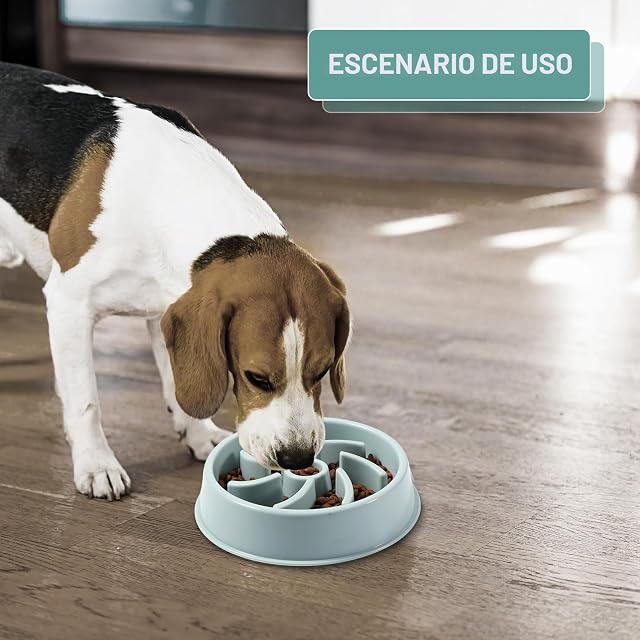 Foto 5 de 7 de Vinabo Comedero Antivoracidad Perro, Plato de Alimentación Lenta