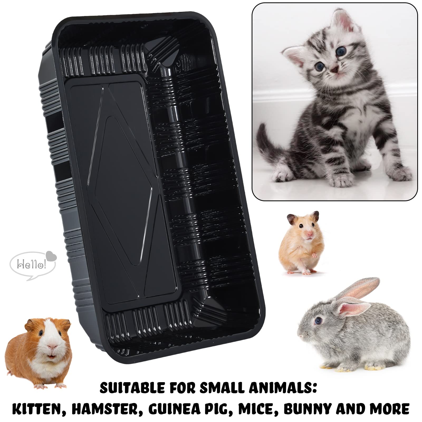 https://m.media-amazon.com/images/I/71w1IvguE0L.jpg
