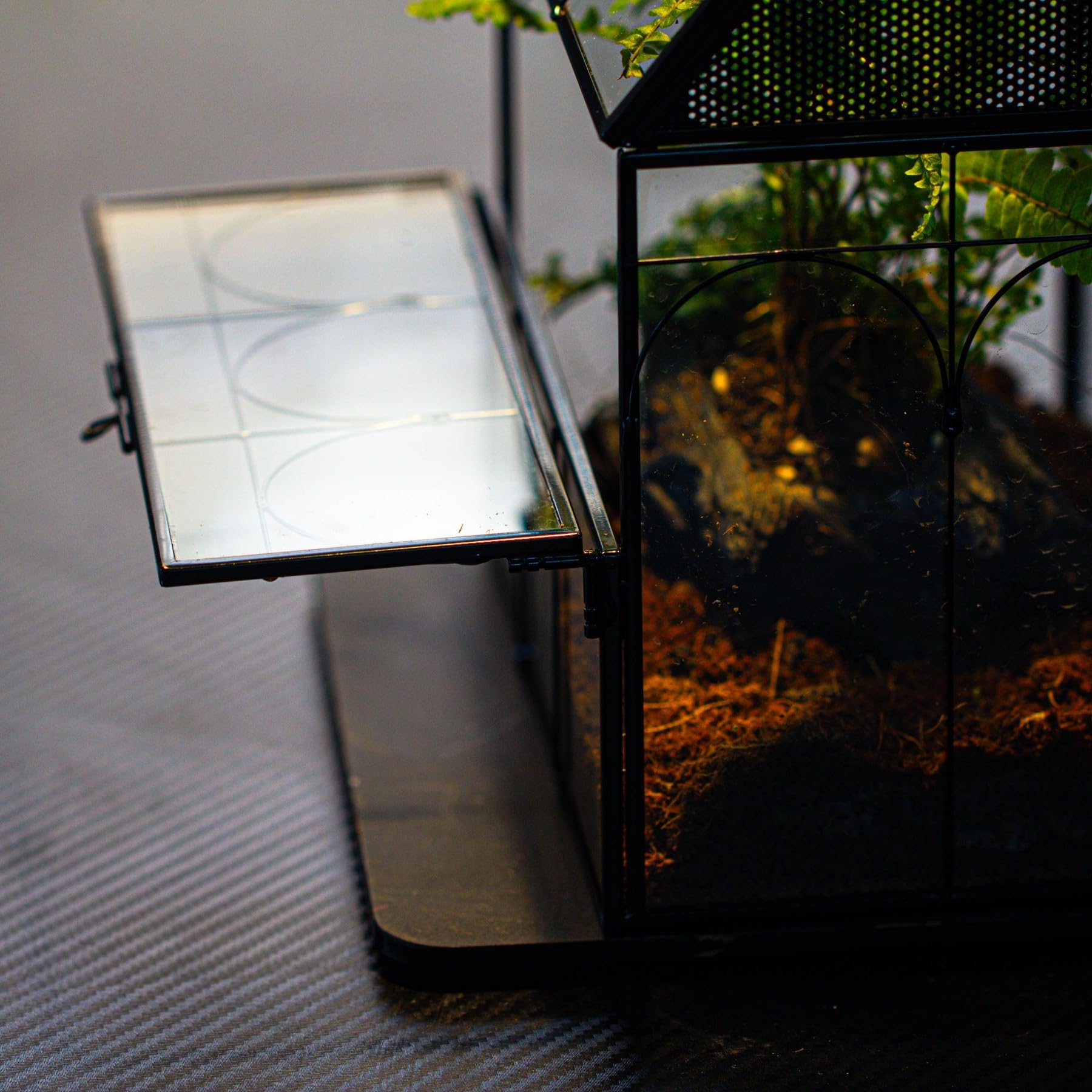 NCYP 19x12,5x23 cm Glasgehäuse mit Belüftungslöchern für Insekten, Spinnen, schwarz kleine geschlossene in Hausform mit vorne öffnende Tür (Ohne Pflanzen und Requisiten)
