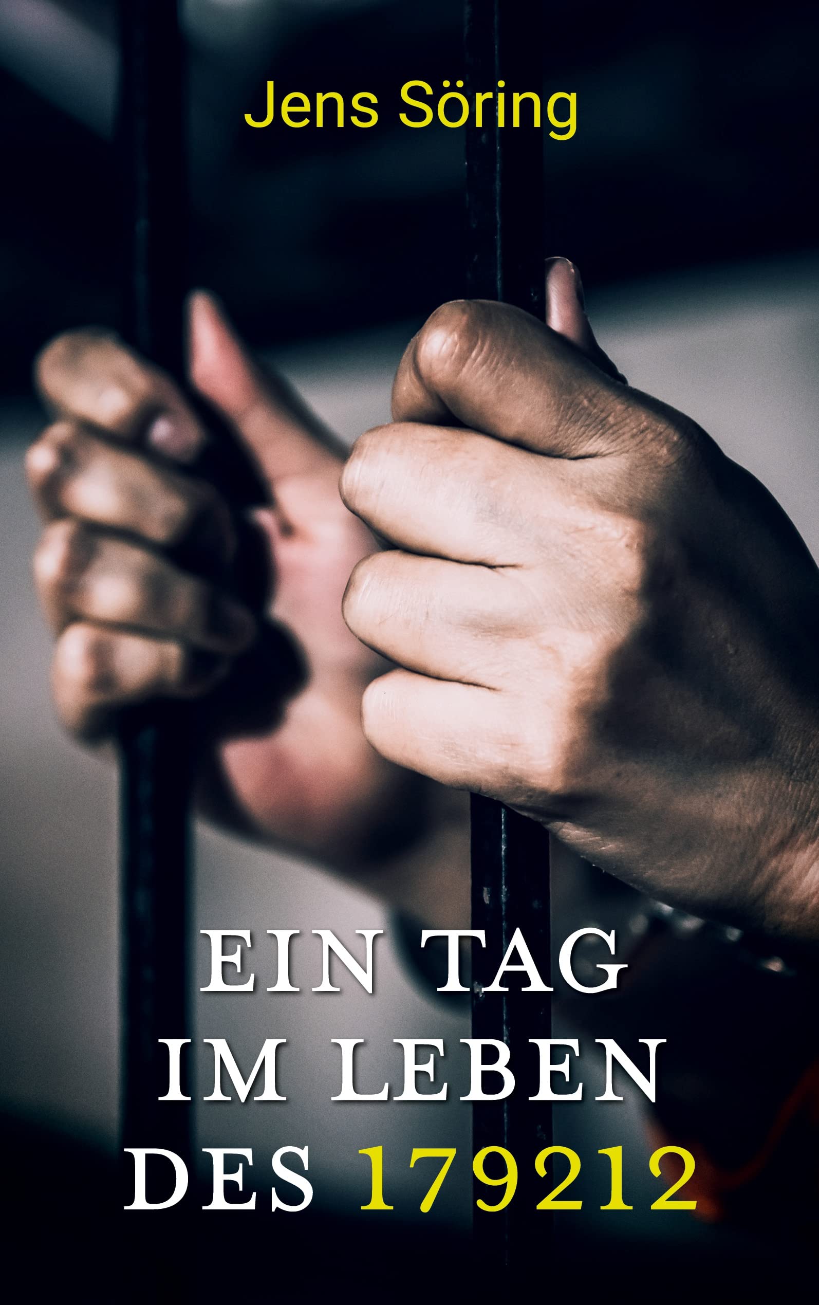 Ein Tag im Leben des 179212 (German Edition)