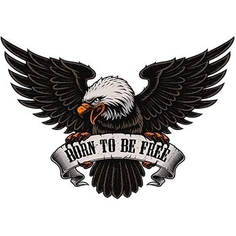 Pack of 2 3D Eagle Stickers 30 x 20 cm 3D Eagle Car Sticker