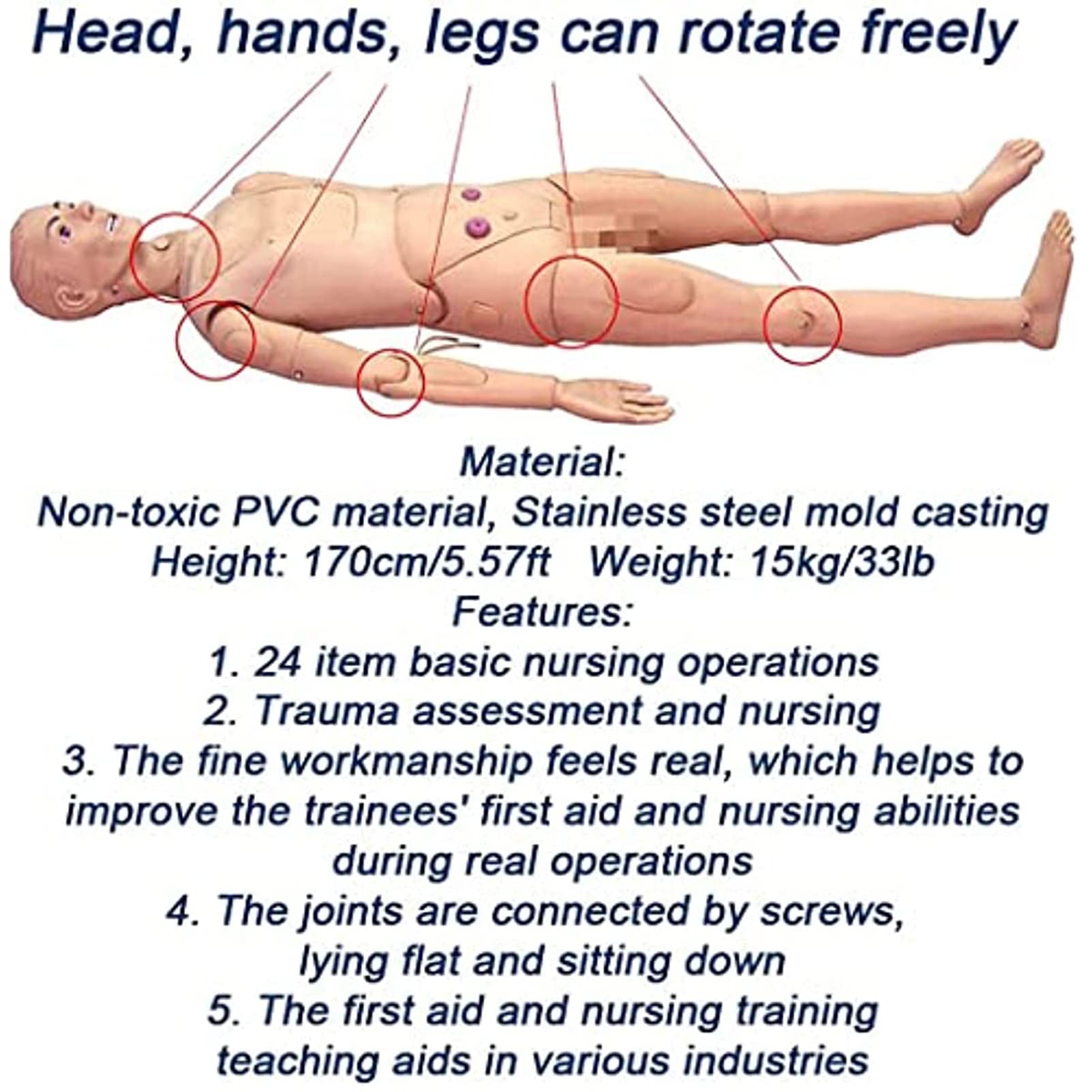 Anatomisches Modell des Menschen, Multifunktionaler Pflegetrainingspuppenmodus, 170 cm Erste-Hilfe-Trainingssimulations-Lehrpuppe, Für Unterrichts- Und Bildungsbedarf