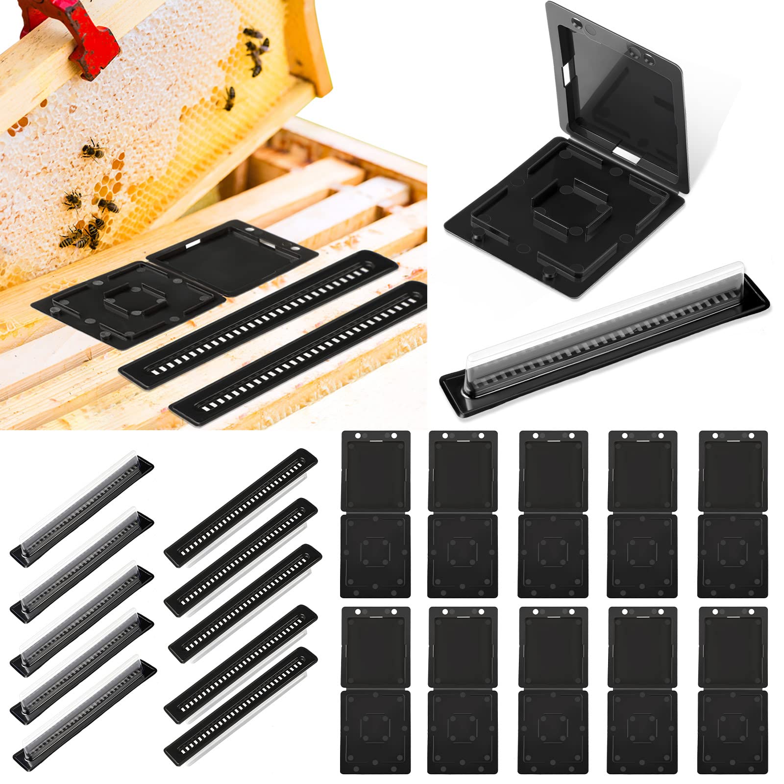 20 Pieces Beehive Beetle Trap Beekeeping Beehive Collector, 2 Shape Plastic Hive Beetle Blaster Traps for Bee Hives, Beekeeper Supplies Pollen Patties Tools