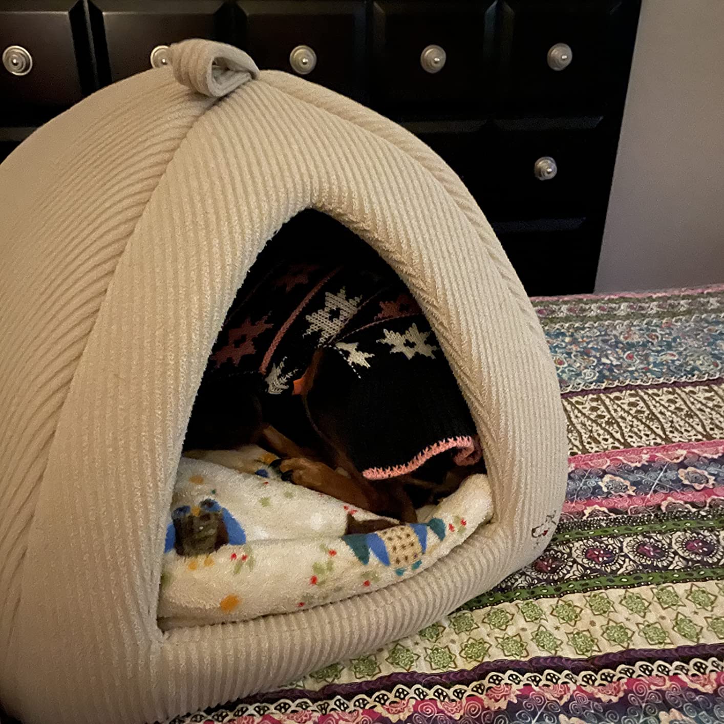 10/mo Finance ANPPEX Igloo Dog House, Portable Cat Igloo Bed with