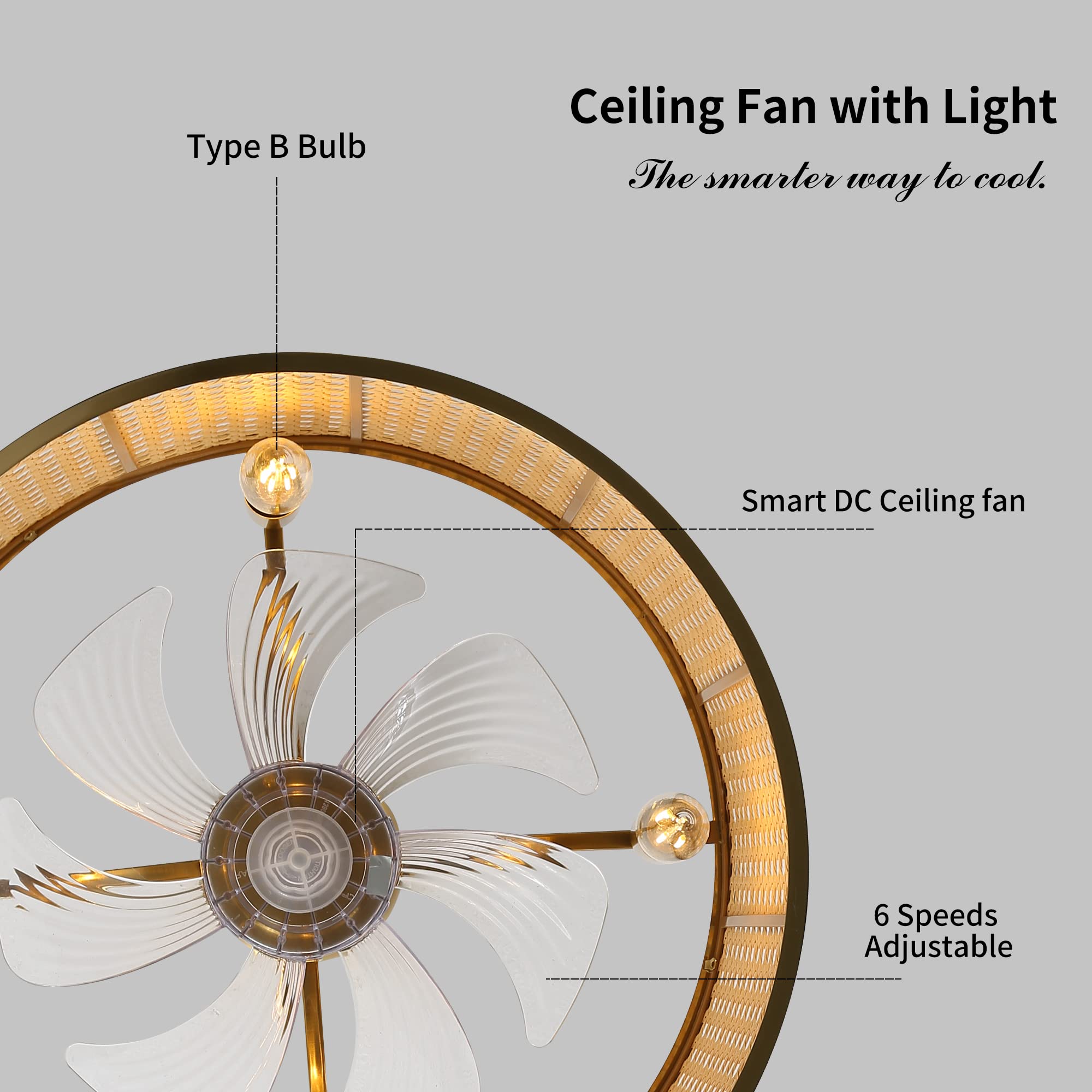 ELEHINSER 18" Caged Ceiling Fan with Lights and Remote Control, Gold Rattan Ceiling Fan with Reversible Motor, 6 Speeds, Timer, Chandelier Ceiling Fan Light Kit for Bedroom, Living Room, Kitchen