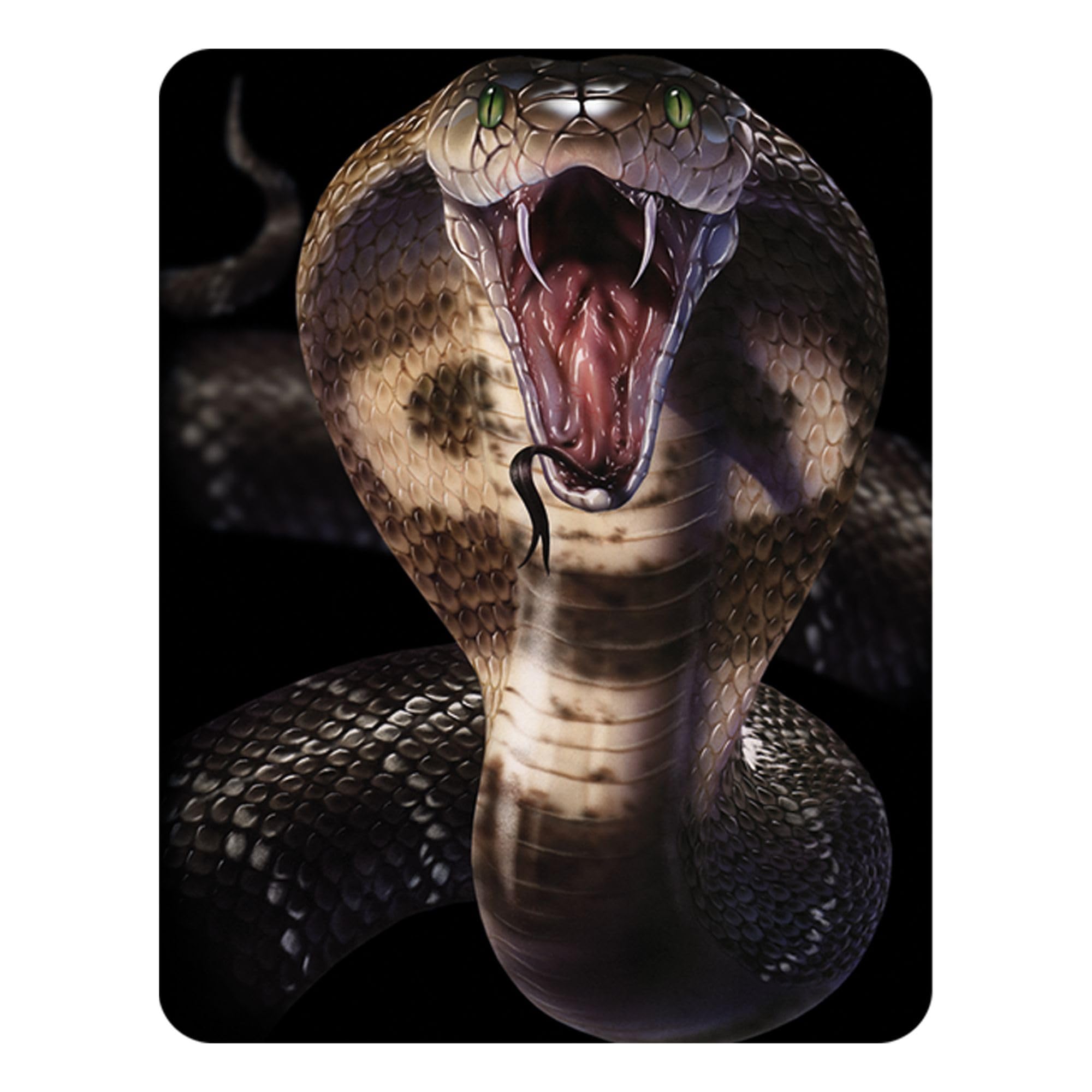 3D Livelife Black Magnet - Cobra From Deluxebase. Lenticular Snake Fridge Magnet. Decorative 3D Cobra Flat Magnets. Cute Small Magnets For Fridge, Dishwasher And Whiteboard.