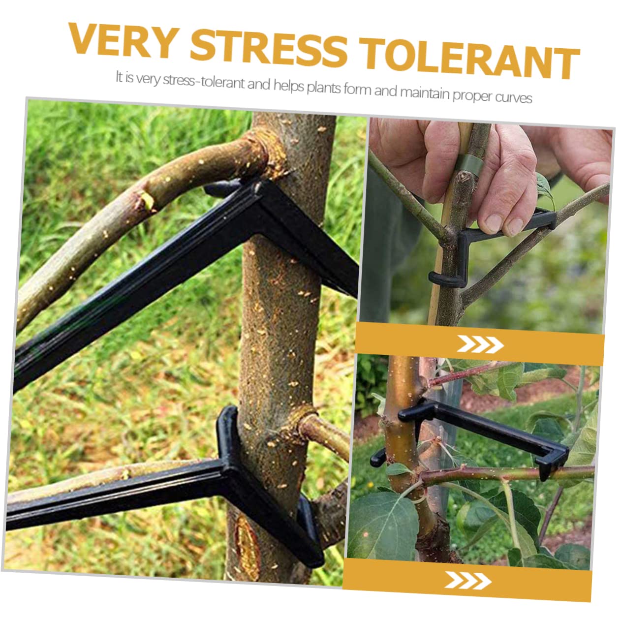 Toddmomy 5 Sätze Filialpresse Zweig Pflanzenbieger Biegeklammern Für Pflanzen Geäst Pflanzenclips Bonsai-stammbieger Astbefestigungsklammern Äste Biegen Clips Sport Schwarz 10 Stück * 5