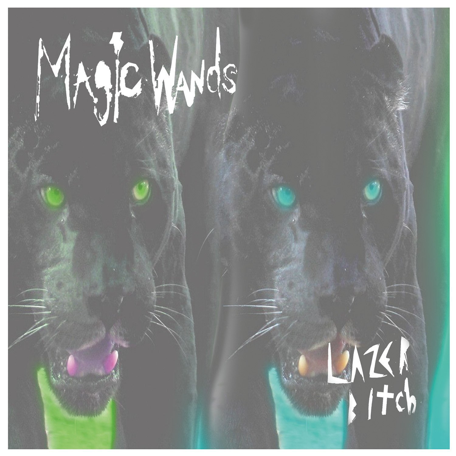 Lazer Bitch [7" VINYL]