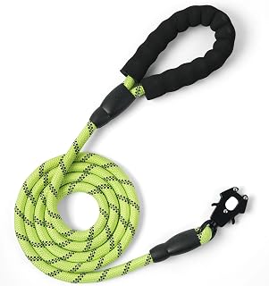 Jieffifa 6FT Dog Leash Heavy Duty Rope Leashes Reflective Nylon Pet Lead with Metal Quick Release/Locking Tactical Frog Clip for Small Medium and Large Dogs Walking Training (Green)