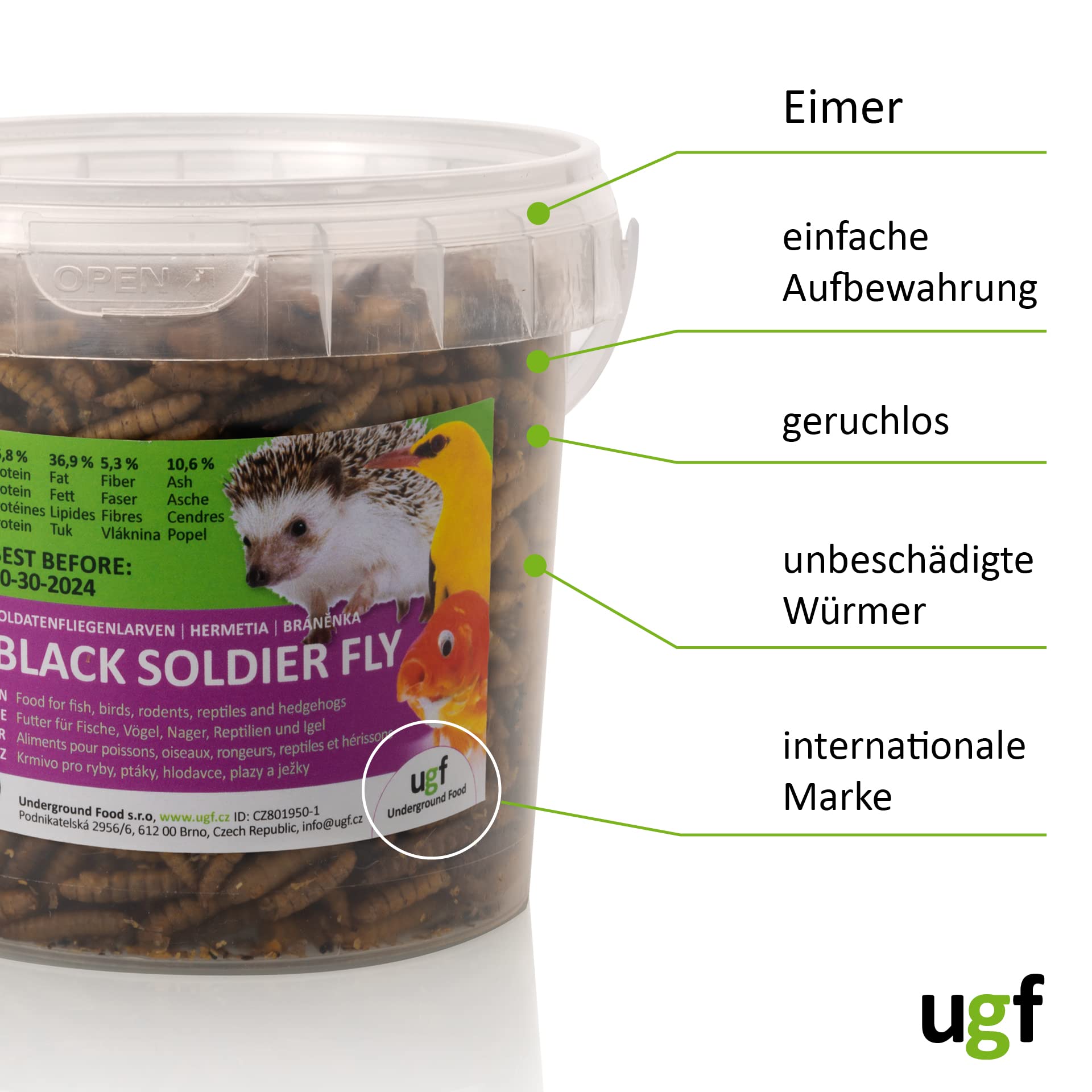 UGF - Larve di mosca soldato essiccate - 75 g in un secchio da 500 ml, Hermetia (simili ai vermi della farina), cibo per uccelli selvatici tutto l'anno, cibo per ricci, quaglie, criceti, pesci