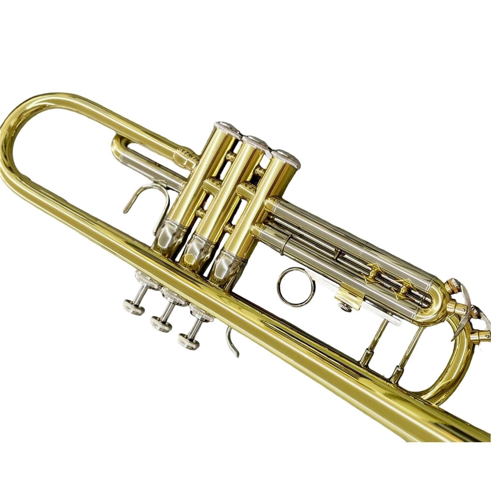 Professional Trumpet Trompeta profesional en si bemol