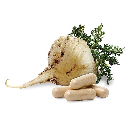 Miniatura 10 de Sunfood - Maca orgánica Extreme - Polvo de raíz de maca, polvo de maca orgánica, suplemento de maca para hombres y mujeres con adaptógenos, peruano