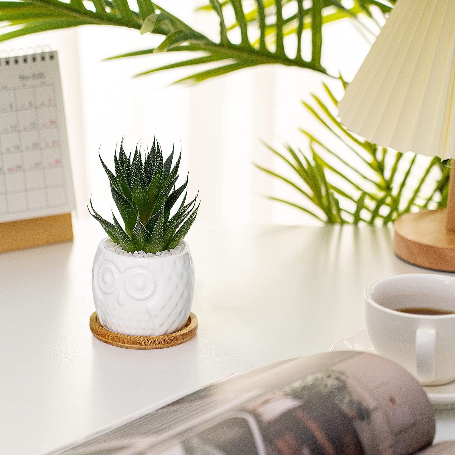 Firulab Piccoli vasi per Piante grasse | 6 vasi da Fiori in Ceramica con Gufo - Vaso per Cactus Contenitore per Animali succulenti con Foro di drenaggio Idea Regalo per casa, Ufficio