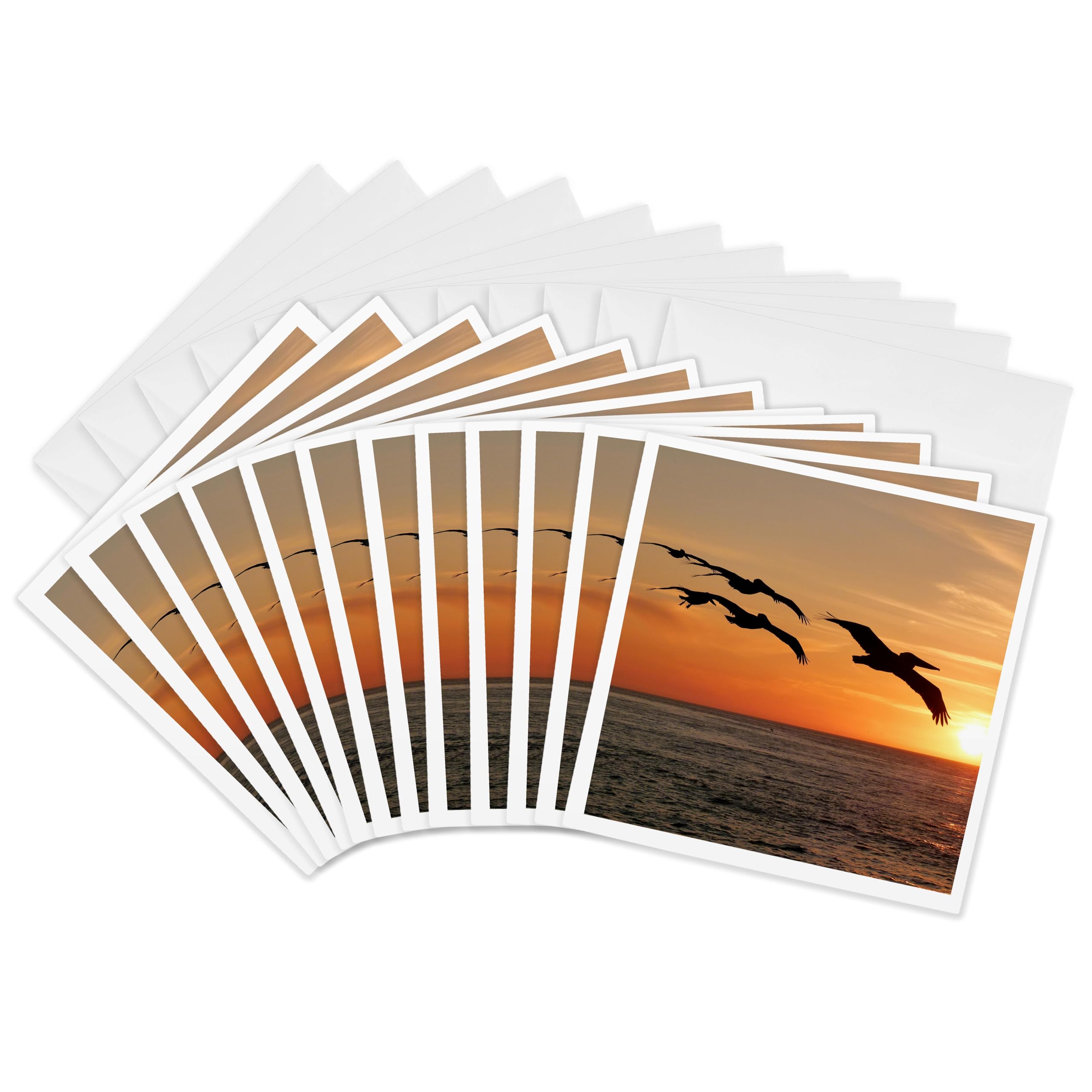 3dRose Greeting Cards - Sunset over Ocean with Flying Birds - 12 Pack - Sunset