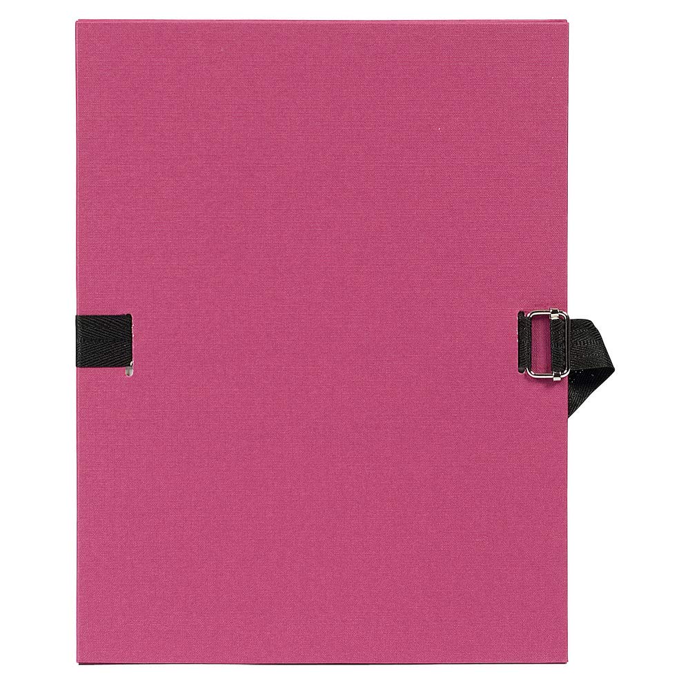 Exacompta 720E - Pack de 10 carpetas con goma con lomo extensible, multicolor