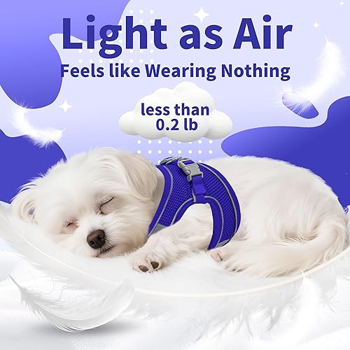 Miniatura 42 de AIITLE Arnés Escalonado para Perro y Juego de Correa - Chaleco Arnés a Prueba de Escape Sin Tirones con Malla Suave y Bandas Reflectantes, Arneses