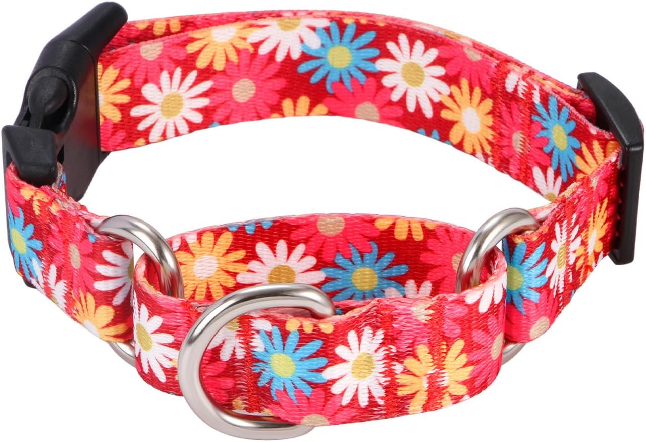 Rhea Rose Canine Martingale Collar with Fast Launch Buckle, Adjustable Mushy Escape Proof Coaching Collar, Pink Flowers Sample, Giant