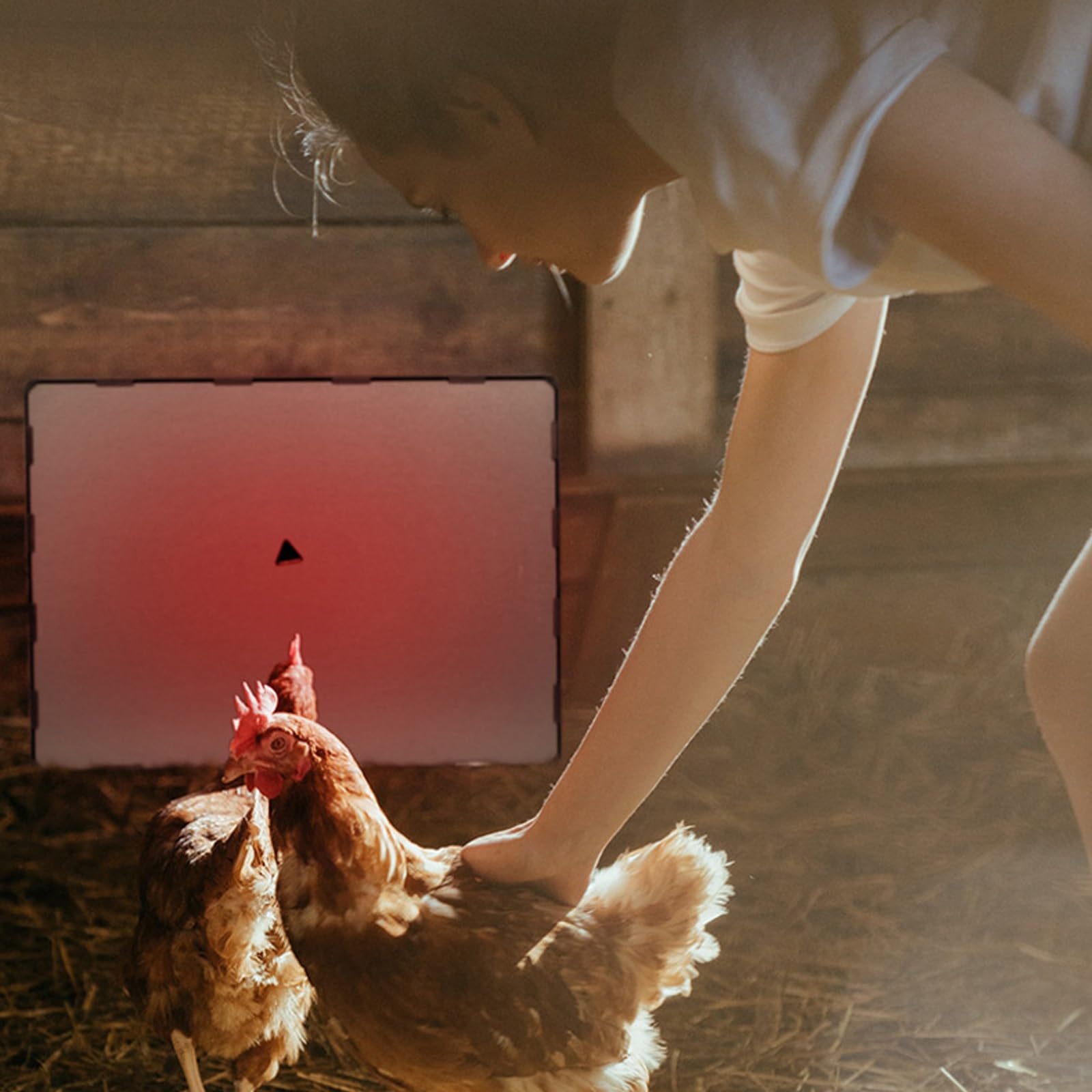Calentador de Gallinero, Criadora de Calentador de Pollo de Temperatura Ajustable de 140W, Diseño de Eficiencia Energética, Diseño Más Seguro, Moderno y Portátil - 40x30cm