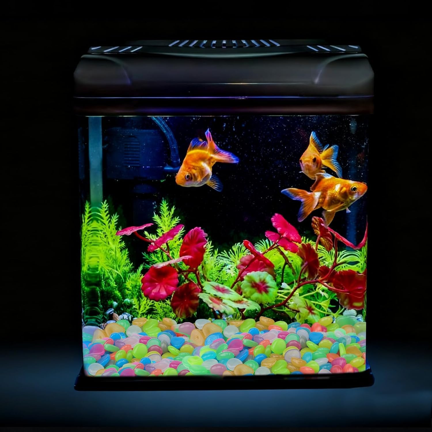100pc's Radium Glossy Stone Decorative Aquarium and Vase Fillers Pebbles for Garden Home in Dark Glowing Stepping Glows the Night Rocks Set Decoration (Multicolour) 1