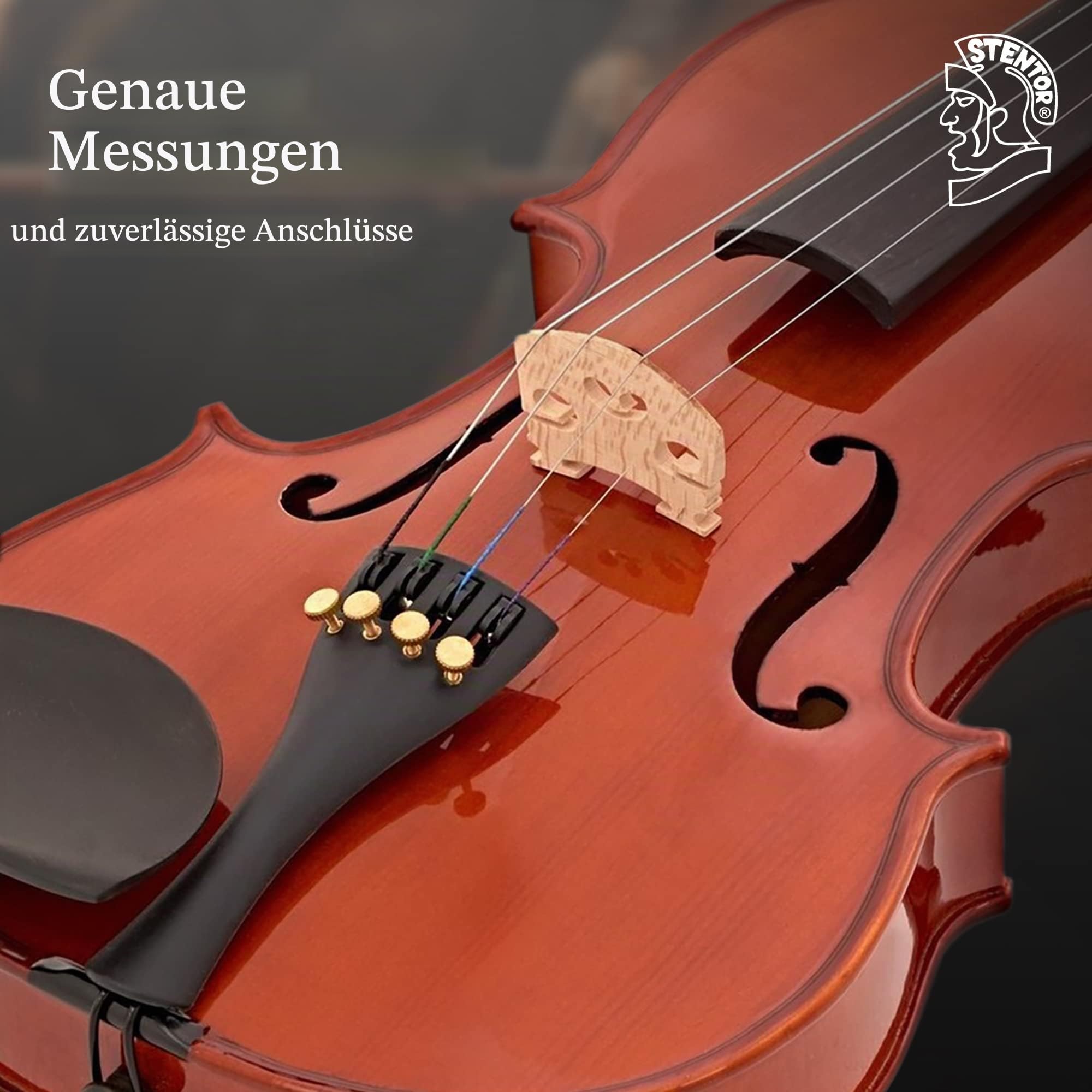 Stentor Student Standard Violinen-Set 4/4 volle Größe, Violine für Anfänger & Kinder 12+ mit Holzbogen & Tragetasche, Einsteiger-Saiteninstrumente, 1018A, Braun