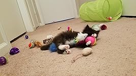 Review Image by Mermaidmaiden90